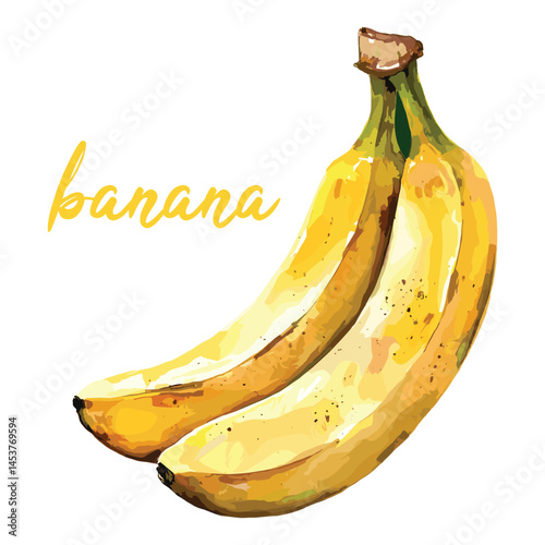 banana in watercolor illustration style, isolated vector on white background