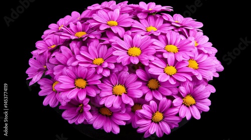 Radiant Summer Daisies in Full Bloom Arranged Against a Bold Black Background Made with Generative AI Technology
