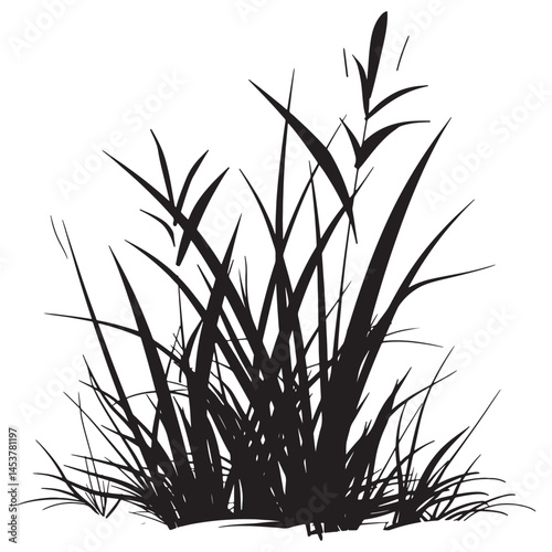 Vector realistic illustration of grass borders on a transparent background.