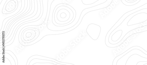 Abstract topographic contour map and geographic mountain relief background design .topography contour map white wave paper and curve gray color lines vector background .