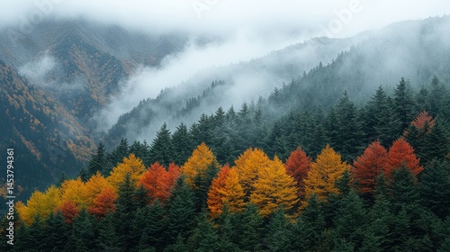 Autumnal Mountain Range in Mist