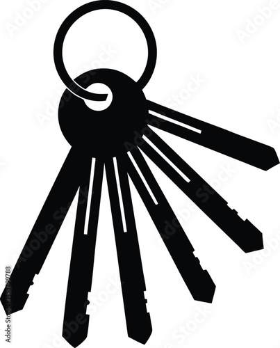 keyring with multiple keys on white background  .eps