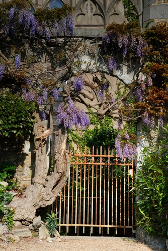 Porte sortie jardin