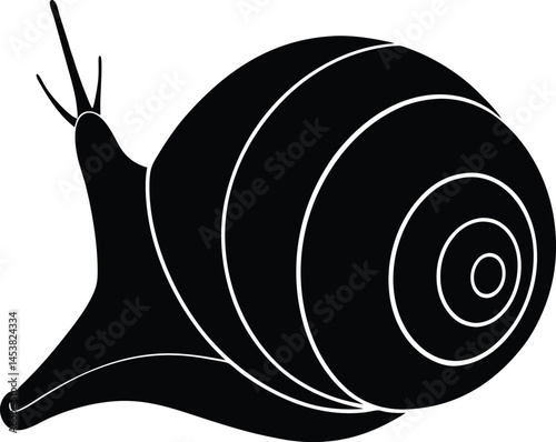snail shell on white background.eps