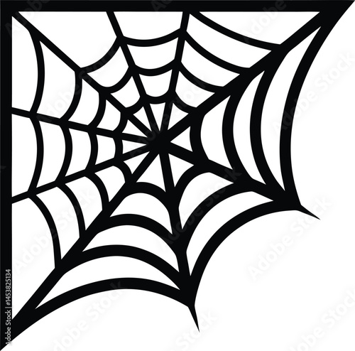 spider web in corner on white background.eps