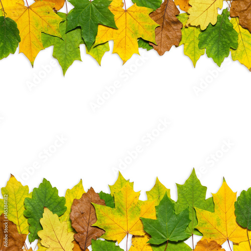 Frame of green, yellow, and brown fall foliage