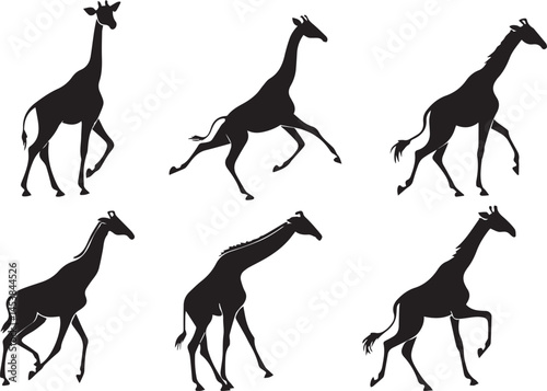 Giraffe Running Silhouettes A Collection of Galloping Wildlife