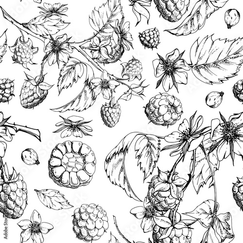 Raspberry garden berries leaves flowers on thorny spiked branch. Ripe cloudberry dewberry mulberry hand drawn in vector ink. Isolated seamless pattern. Home preserves, grocery store, packaging paper