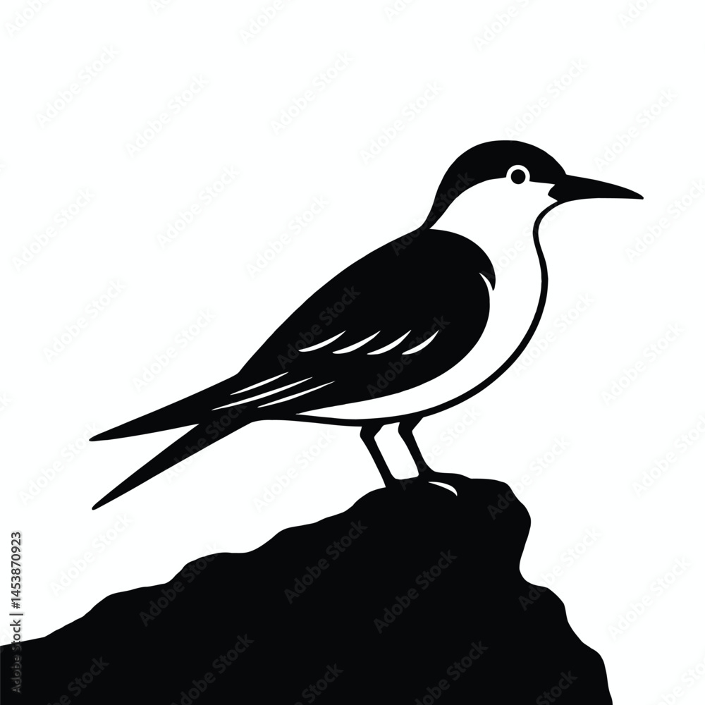 Fototapeta premium silhouette of a bird