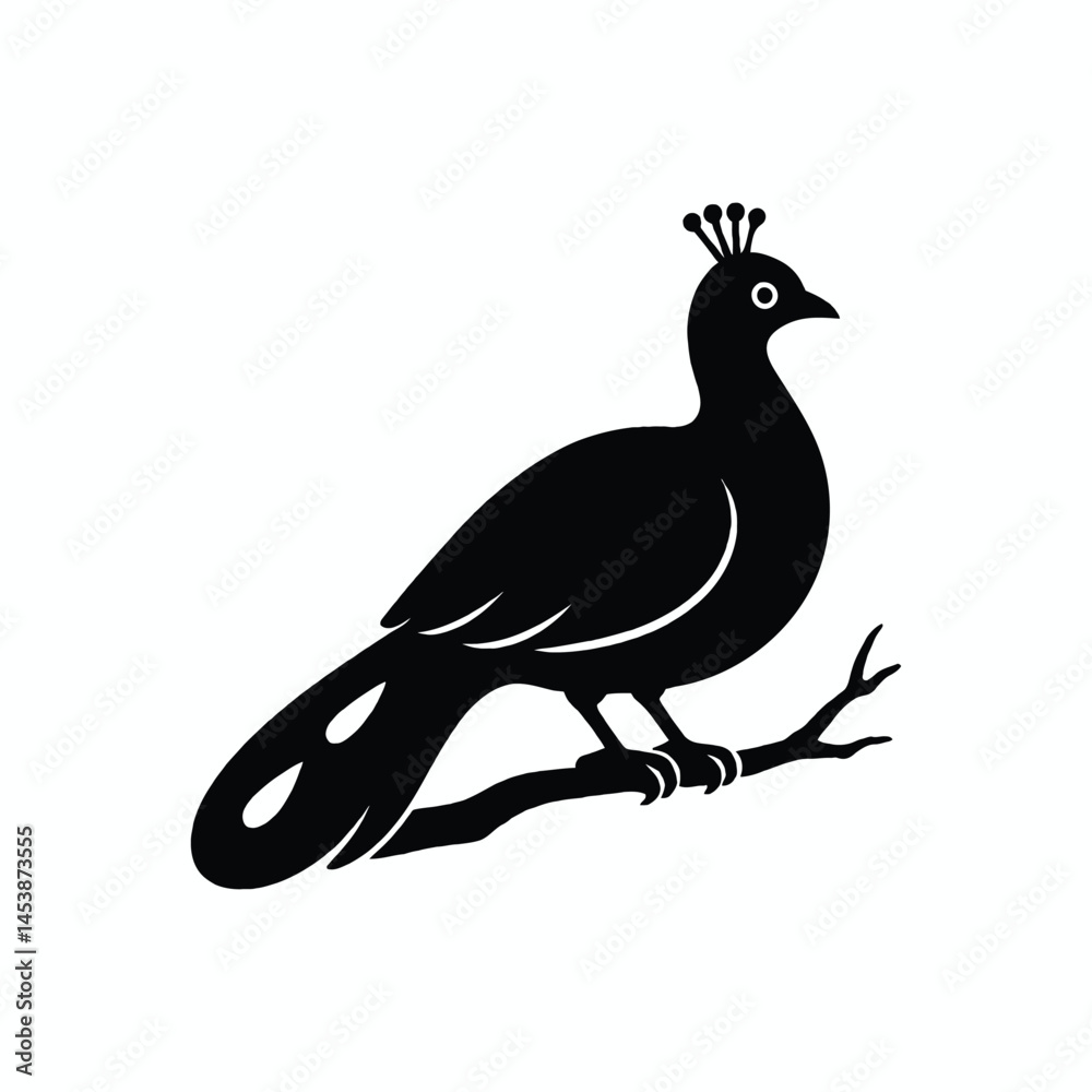 Fototapeta premium Silhouette of a bird in flight with elegant feathers and wings, vector illustration capturing the essence of nature and wildlife, perfect for an artistic design