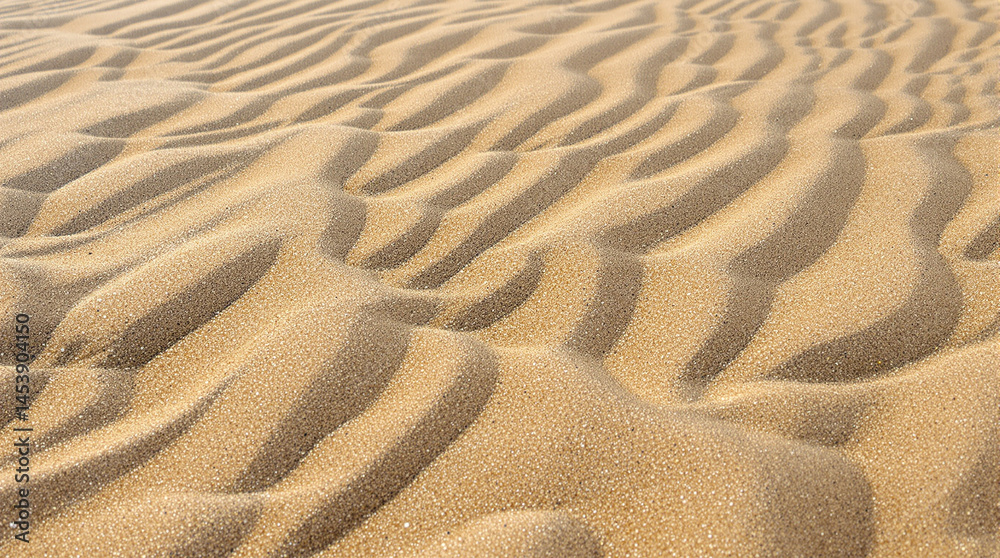 Fototapeta premium Sand Dune Texture: A close-up abstract view of rippling sand dunes, showcasing the captivating patterns and textures of desert landscapes.