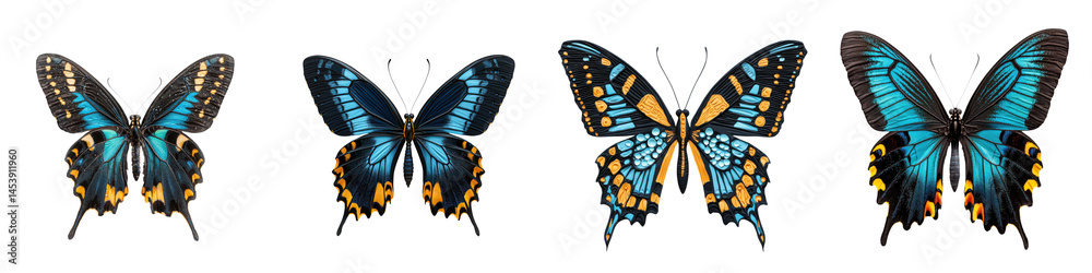Naklejka premium Vibrant Butterflies in Diverse Designs