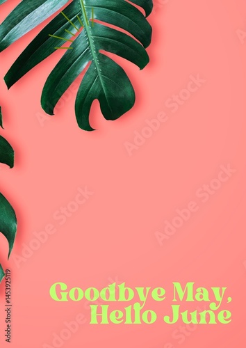 Goodbye May, Hello June image  greeting background