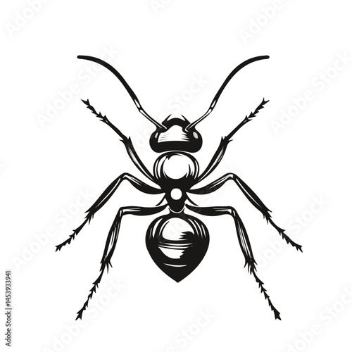 Ant symbol - black and white design for tattoos, logos and vectors - isolated on white