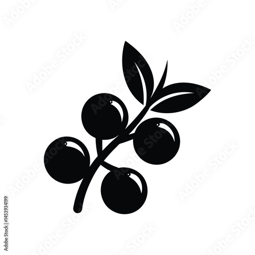 sea buckthorn berry icon sign of silhouette vector illustration