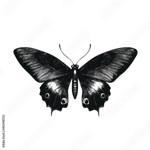 Butterfly symbol - black and white design for tattoos, logos and vectors - isolated on white