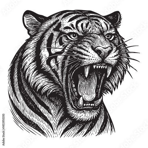roar tiger woodcut engraving vector illustration