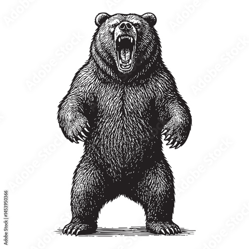roar bear woodcut engraving vector illustration