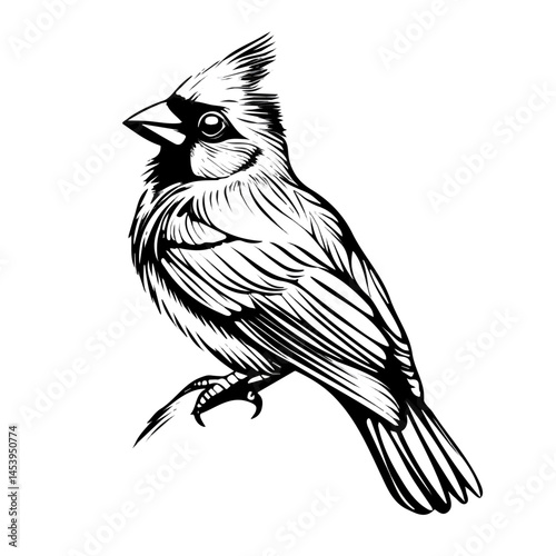 Cardinal symbol - minimalist black and white vector art - perfect for tattoos, logos - isolated on white