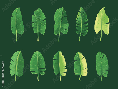 Palm Leaf Pattern – Editable Clipart