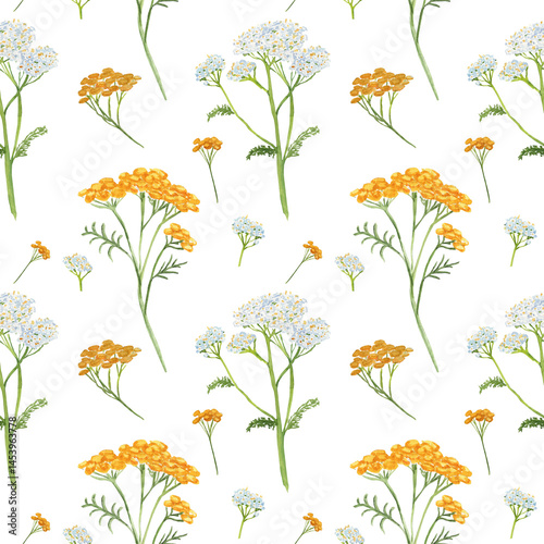 Seamless watercolor pattern featuring yarrow and tansy wildflowers. Ideal for summer textiles, packaging, and nature-inspired design.