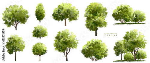  Vector watercolor green  tree or forest side view isolated on white background for landscape and architecture drawing,elements for environment or and garden,Shrub for section