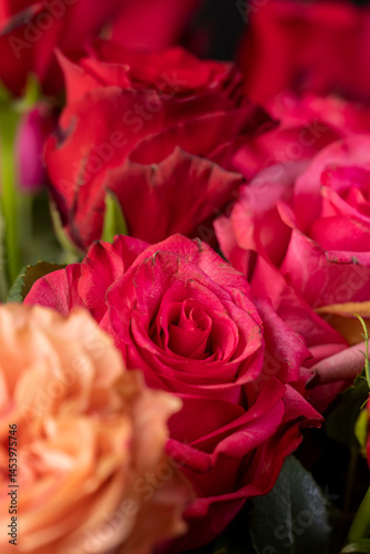 Obraz na płótnie fragrant red roses, a group of red rose flowers for making bouquets for a gift w salonie