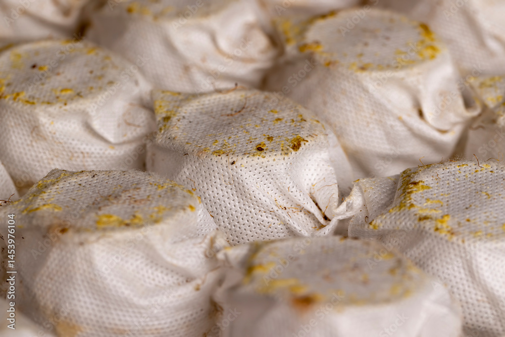 glued together old mattress springs in white fabric after use, close up