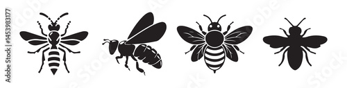 Black bee icon.  Outline set of wasp vector icons for web design isolated on white background