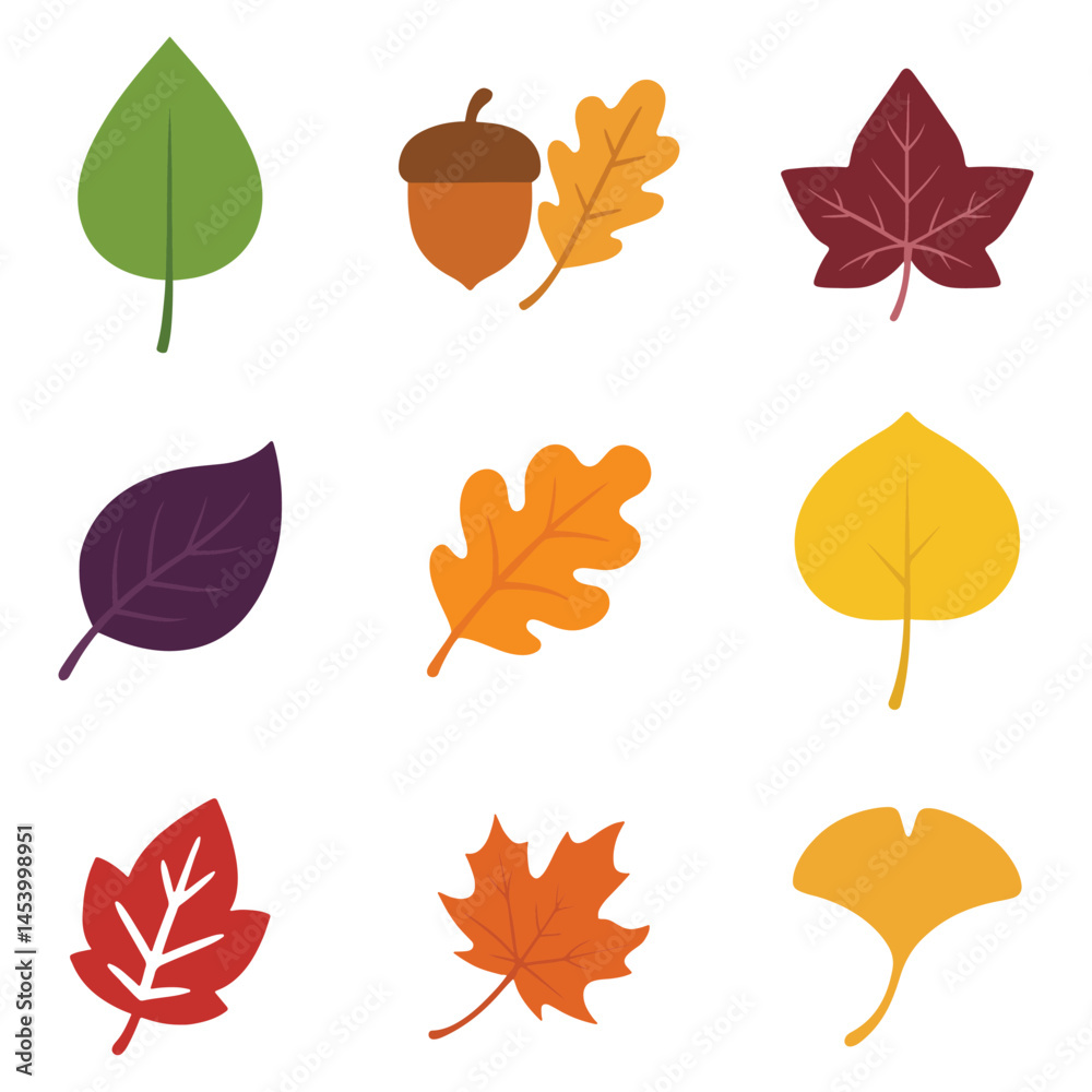 Obraz premium set of Isolated Fall Leaves for Scrapbooking or Printing 