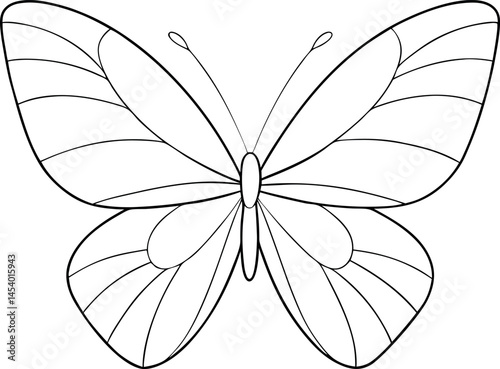 Detailed symmetrical butterfly line art illustration perfect for coloring books, tattoo design, or nature-themed vector packs with delicate lines and graceful wings