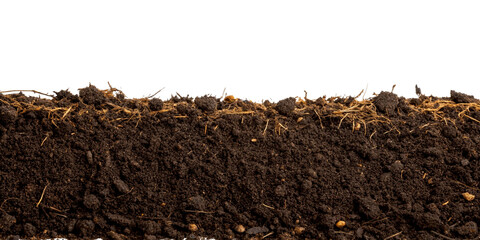 humus soil bottom border pile isolated on white or transparent png. Botany organic brown manure fertilizer for garden seeding growth with agriculture compost, closeup