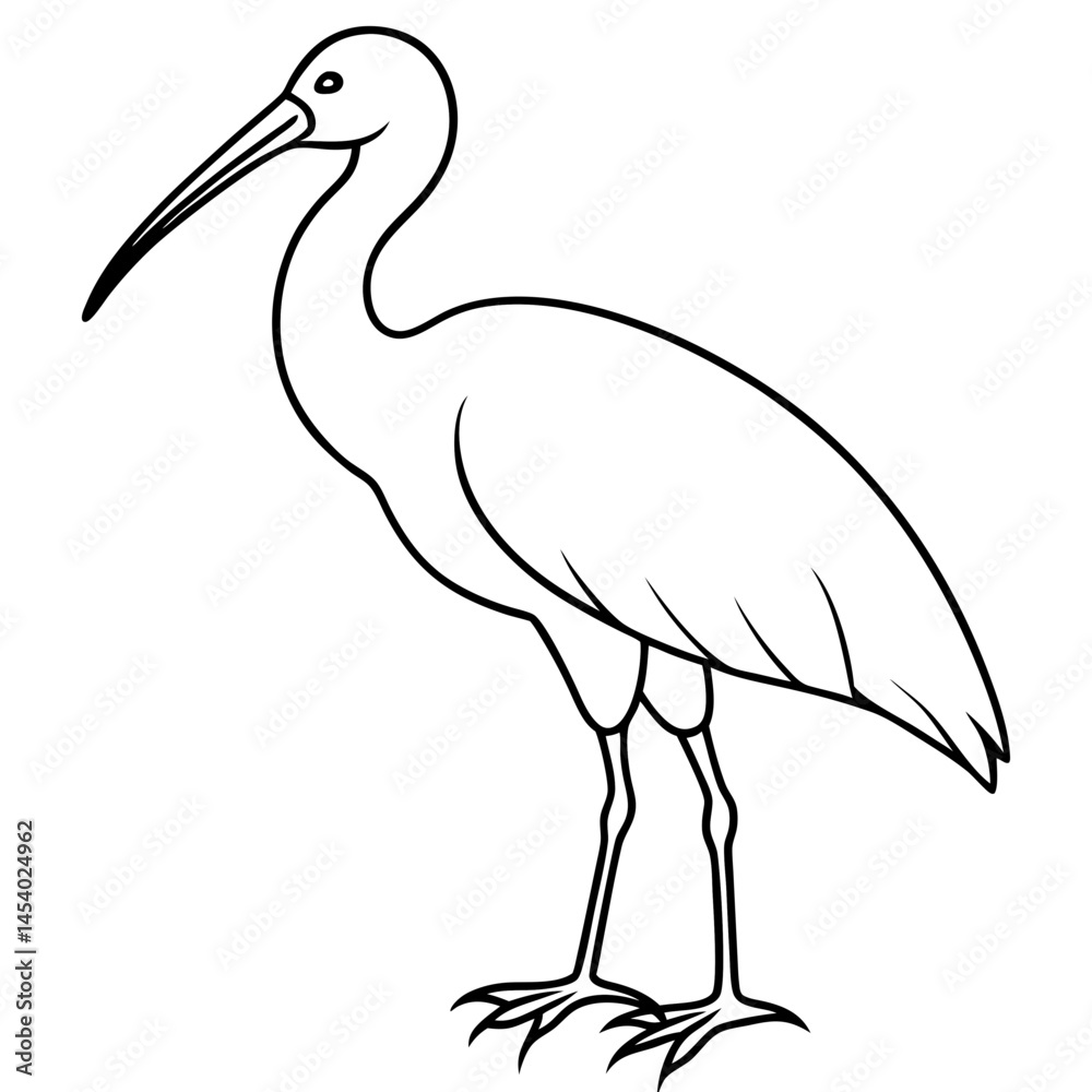 Fototapeta premium Minimal White Ibis Vector on White
