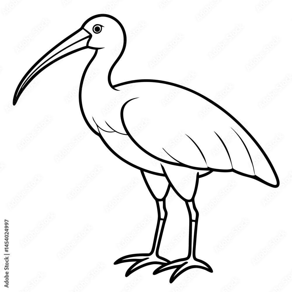 Naklejka premium Minimal White Ibis Vector on White