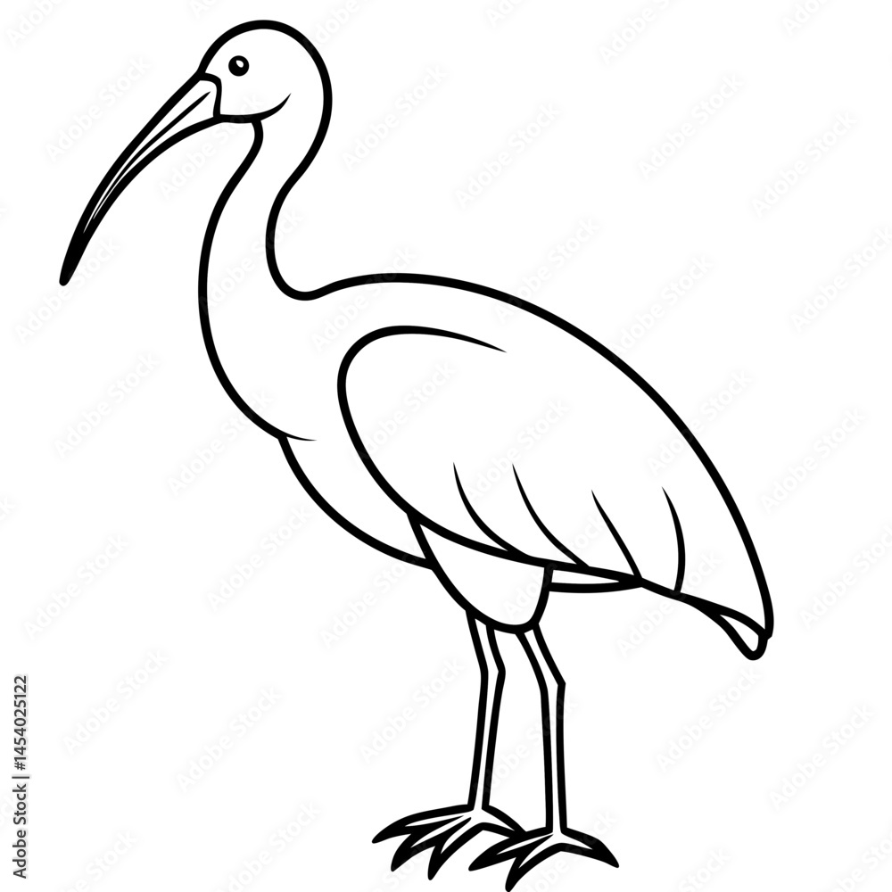 Obraz premium Minimal White Ibis Vector on White