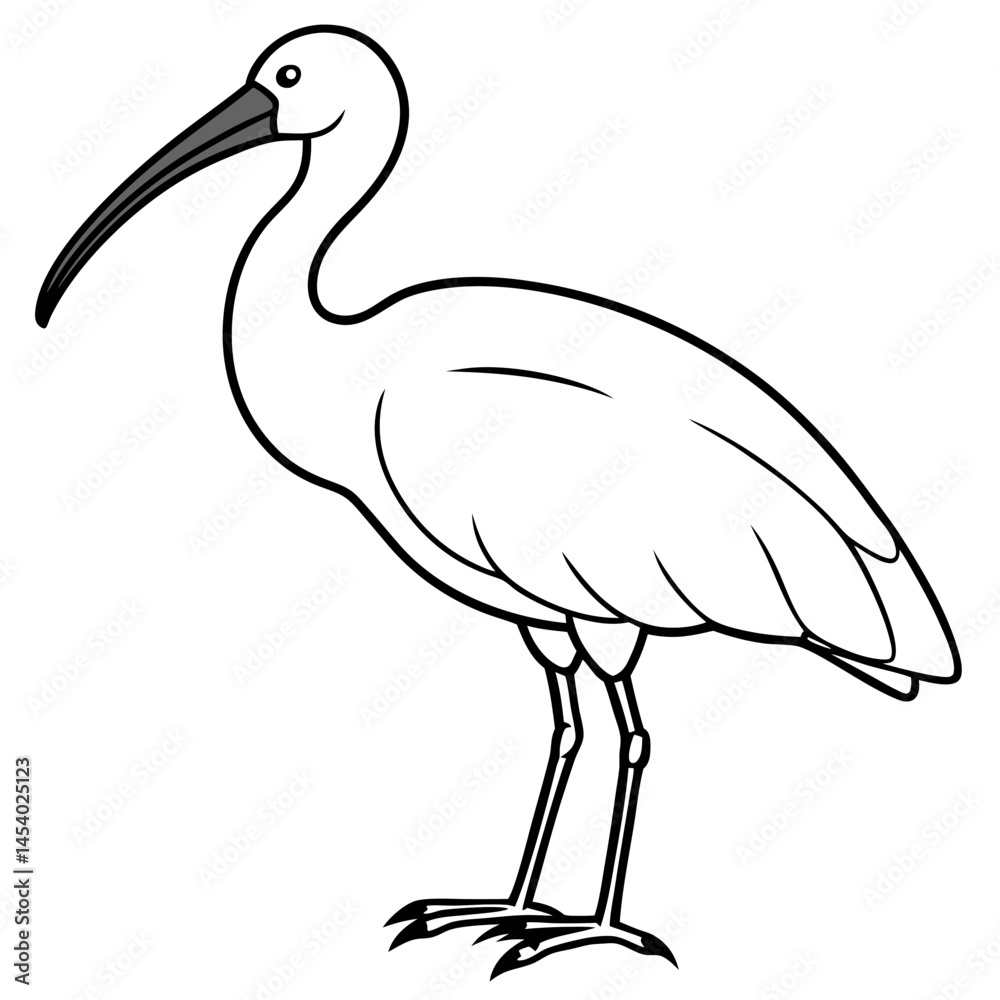 Obraz premium Minimal White Ibis Vector on White