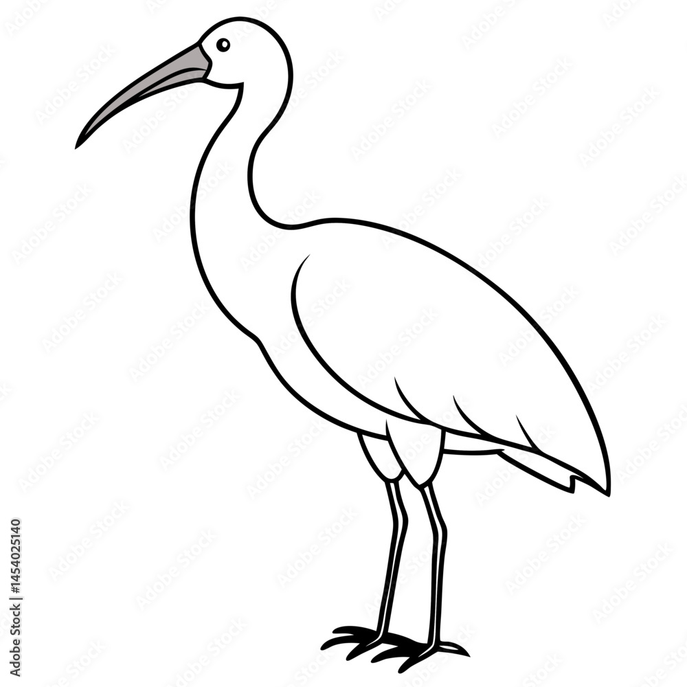 Obraz premium Minimal White Ibis Vector on White