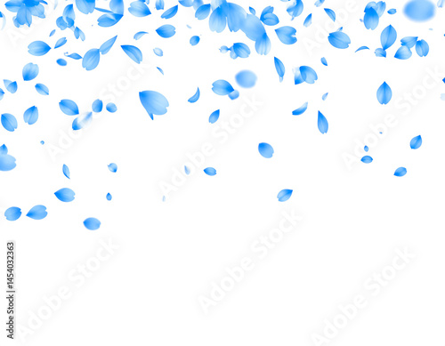 blue petals flying floating isolated on white or transparent background