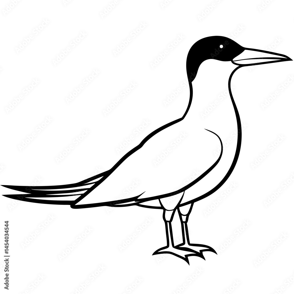 Obraz premium Minimal Caspian Tern Vector on White