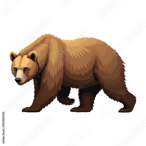 brown bear vector illustration