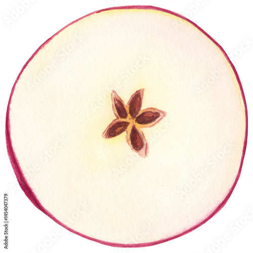 Realistic watercolor illustration of a red apple cut in half, showing juicy interior. Ideal for food packaging, botanical prints, kitchen decor, and healthy eating projects.