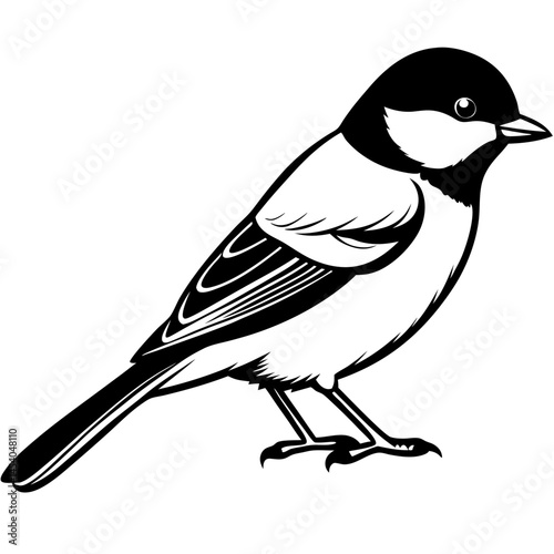 Minimal Great Tit Vector on White