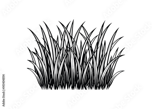 Silhouette of grass blades isolated on a white background