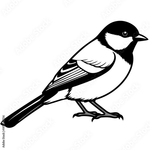 Minimal Great Tit Vector on White