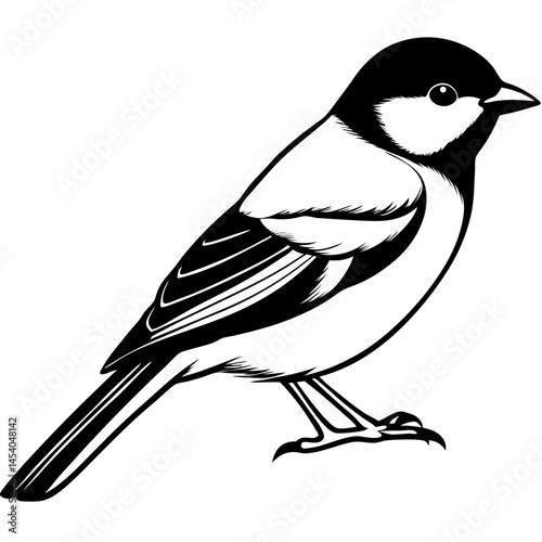 Minimal Great Tit Vector on White