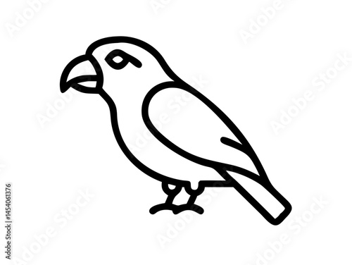 Solid black background for design projects , A completely black image suitable for use as a backdrop in graphic design, presentations, or websites of cakatua logo design . 