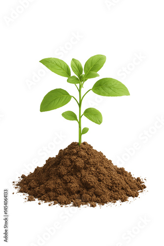 Young Green Plant Growing in Fresh Soil on Neutral Background – Concept Image Representing Growth, Sustainability, Ecology, and New Beginnings