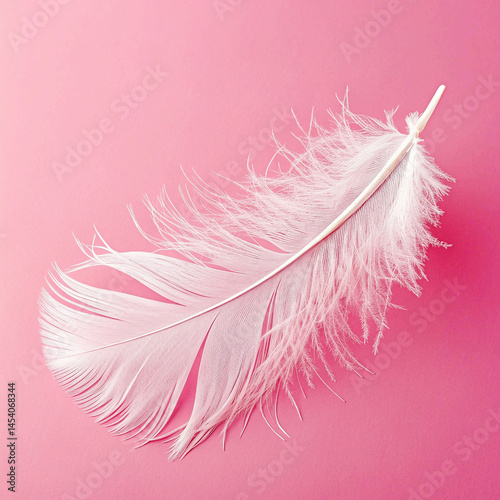 Delicate Grace White Feathers on Pink Serenity. Soft white feathers lie gently on a smooth, pastel pink background.