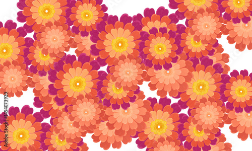 Fototapeta Naklejka Na Ścianę i Meble -  Zinnia  flowers floral backgrounbd design