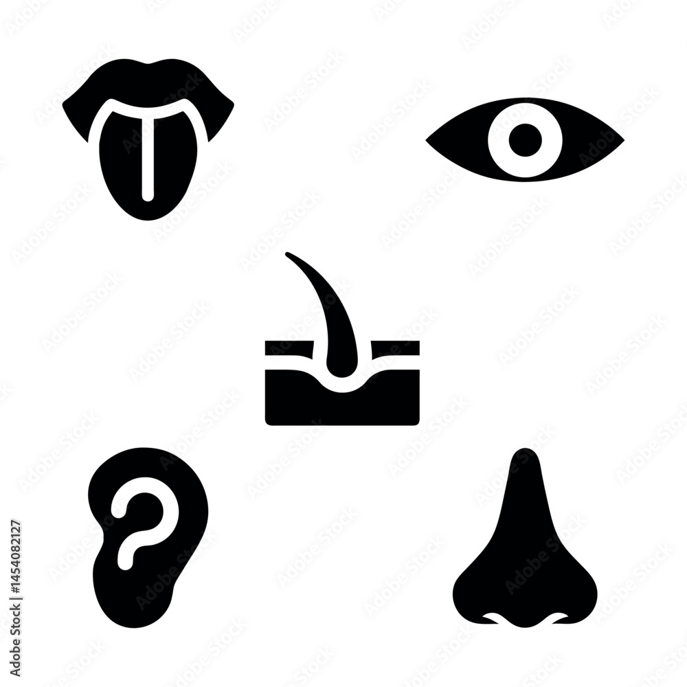 Obraz premium Human Sensory Organs Vector – Silhouette Icon Set